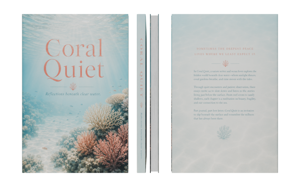 Book_C_48