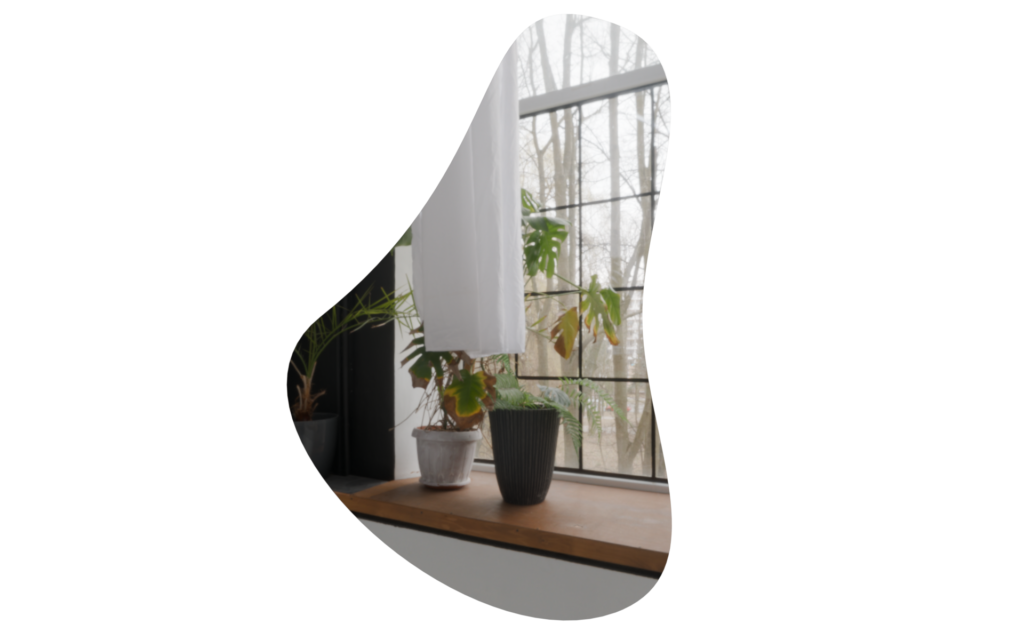FD_Mirror_A_11